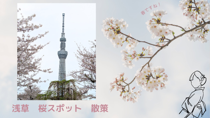 浅草の桜スポットを散策しながら、七福神のご利益をもらうルートをご案内します。 